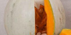خواص کدو حلوایی + زنان و فرق کدو حلوایی و کدو تنبل و مضرات کدو حلوایی برای قلب