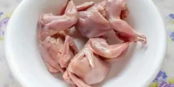 خواص گوشت جوجه خروس دکتر خیراندیش برای مردان و زنان در بارداری و شیردهی و طبع