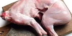 خواص گوشت خرگوش دکتر خیراندیش برای مردان و زنان در بارداری و شیردهی و طبع