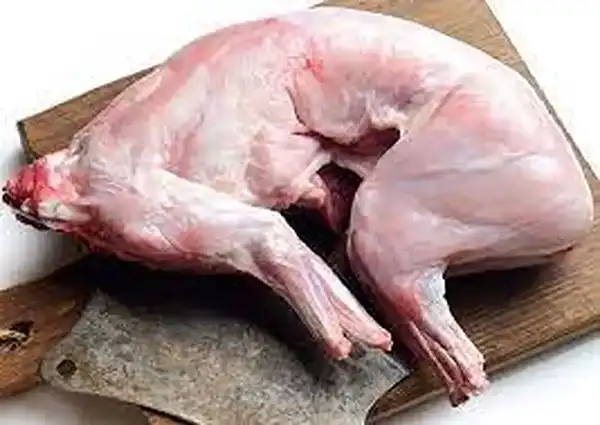 خواص گوشت خرگوش دکتر خیراندیش برای مردان و زنان در بارداری و شیردهی و طبع