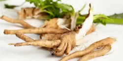 خواص ریشه کاسنی دکتر خیراندیش برای مردان و زنان در بارداری و شیردهی و طبع