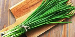 خواص تره دکتر خیراندیش برای مردان و زنان در بارداری و شیردهی و طبع