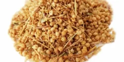 عوارض افتیمون در طب سنتی از نظر دکتر خیراندیش برای مردان و زنان