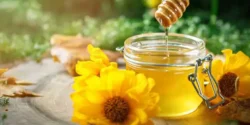 عوارض عسل بهاره در طب سنتی از نظر دکتر خیراندیش برای مردان و زنان