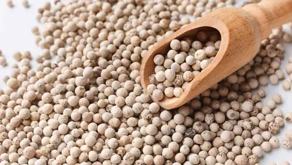 عوارض فلفل سفید در طب سنتی از نظر دکتر خیراندیش برای مردان و زنان