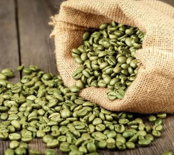 عوارض قهوه سبز در طب سنتی از نظر دکتر خیراندیش برای مردان و زنان