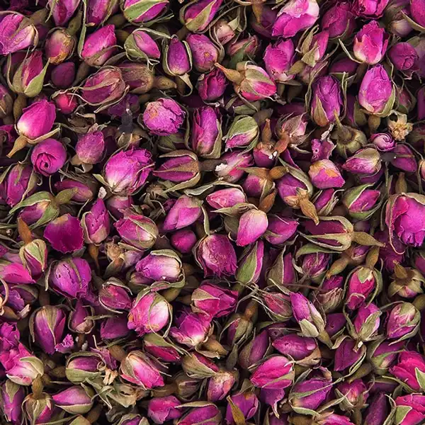 عوارض غنچه گل محمدی در طب سنتی از نظر دکتر خیراندیش برای مردان و زنان