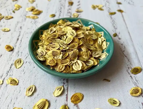عوارض گلپر در طب سنتی از نظر دکتر خیراندیش برای مردان و زنان