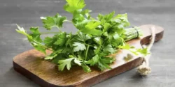 عوارض جعفری در طب سنتی از نظر دکتر خیراندیش برای مردان و زنان