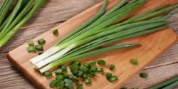 عوارض پیازچه در طب سنتی از نظر دکتر خیراندیش برای مردان و زنان