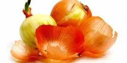 عوارض پوست پیاز در طب سنتی از نظر دکتر خیراندیش برای مردان و زنان