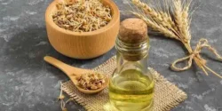 عوارض روغن جوانه گندم در طب سنتی از نظر دکتر خیراندیش برای مردان و زنان