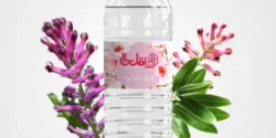 خواص عرق شاتره دکتر خیراندیش برای مردان و زنان در بارداری و شیردهی و طبع