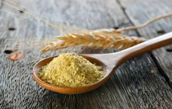 خواص جنین گندم دکتر خیراندیش برای مردان و زنان در بارداری و شیردهی و طبع