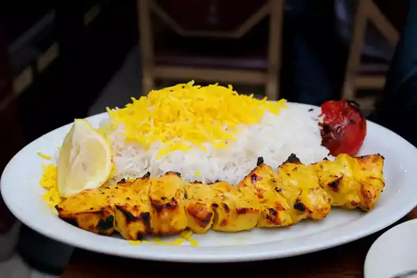 خواص جوجه کباب دکتر خیراندیش برای مردان و زنان در بارداری و شیردهی و طبع