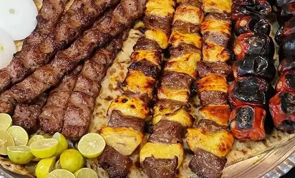 خواص کباب دکتر خیراندیش برای مردان و زنان در بارداری و شیردهی و طبع