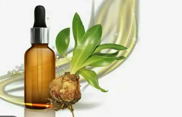 خواص روغن عنصل دکتر خیراندیش برای مردان و زنان در بارداری و شیردهی و طبع