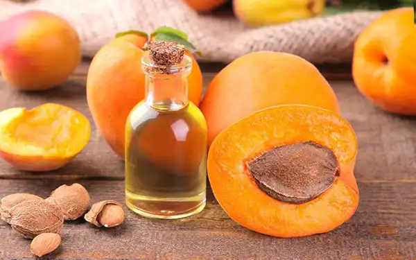 خواص روغن هسته زردآلو دکتر خیراندیش برای مردان و زنان در بارداری و شیردهی