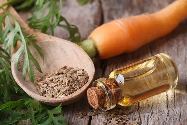 خواص روغن هویج دکتر خیراندیش برای مردان و زنان در بارداری و شیردهی و طبع