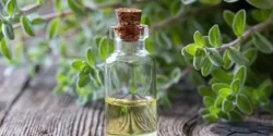 خواص روغن مرزنجوش دکتر خیراندیش برای مردان و زنان در بارداری و شیردهی و طبع