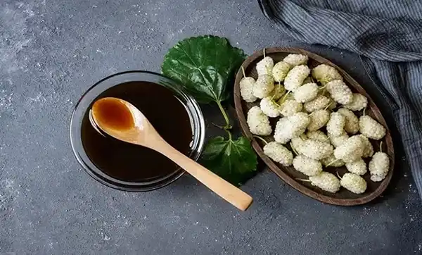 خواص شیره توت دکتر خیراندیش برای مردان و زنان در بارداری و شیردهی و طبع