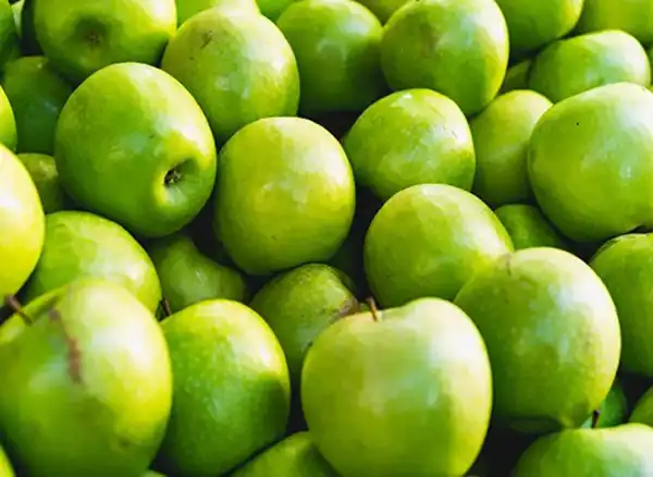 خواص سیب ترش دکتر خیراندیش برای مردان و زنان در بارداری و شیردهی و طبع