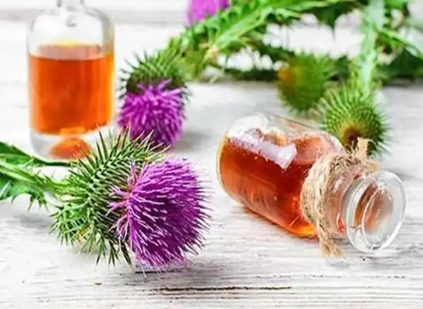عوارض عرق بابا آدم در طب سنتی از نظر دکتر خیراندیش برای مردان و زنان