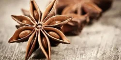 عوارض بادیان در طب سنتی از نظر دکتر خیراندیش برای مردان و زنان