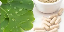 عوارض جینکوبیلوبا در طب سنتی از نظر دکتر خیراندیش برای مردان و زنان