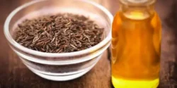 عوارض روغن زیره سیاه در طب سنتی از نظر دکتر خیراندیش برای مردان و زنان