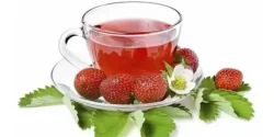 عوارض دمنوش توت فرنگی در طب سنتی از نظر دکتر خیراندیش برای مردان و زنان