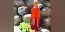 خواص آبغوره خیراندیش در طب سنتی برای مردان و زنان