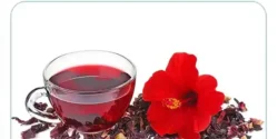 خواص چای ترش خیراندیش در طب سنتی برای مردان و زنان