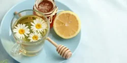 خواص دمنوش بابونه خیراندیش در طب سنتی برای مردان و زنان