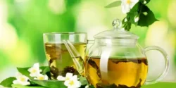 خواص دمنوش بهار نارنج خیراندیش در طب سنتی برای مردان و زنان