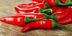 خواص و مضرات فلفل در طب سنتی دکتر خیراندیش برای زنان و مردان