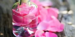 خواص گلاب خیراندیش در طب سنتی برای مردان و زنان