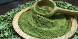 خواص حنا خیراندیش در طب سنتی برای مردان و زنان