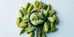 خواص هل خیراندیش در طب سنتی برای مردان و زنان