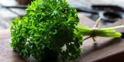 خواص جعفری خیراندیش در طب سنتی برای مردان و زنان