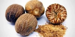 خواص جوز هندی خیراندیش در طب سنتی برای مردان و زنان