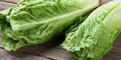 خواص کاهو خیراندیش در طب سنتی برای مردان و زنان