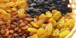 خواص کشمش خیراندیش در طب سنتی برای مردان و زنان