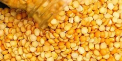 خواص لپه خیراندیش در طب سنتی برای مردان و زنان