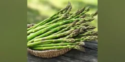 خواص مارچوبه خیراندیش در طب سنتی برای مردان و زنان