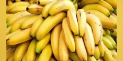 خواص موز خیراندیش در طب سنتی برای مردان و زنان