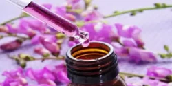 خواص روغن بنفشه خیراندیش در طب سنتی برای مردان و زنان