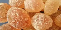 خواص صمغ عربی خیراندیش در طب سنتی برای مردان و زنان