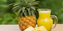 خواص و مضرات آب آناناس در طب سنتی دکتر خیراندیش برای زنان و مردان