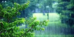 خواص و مضرات آب باران در طب سنتی دکتر خیراندیش برای زنان و مردان